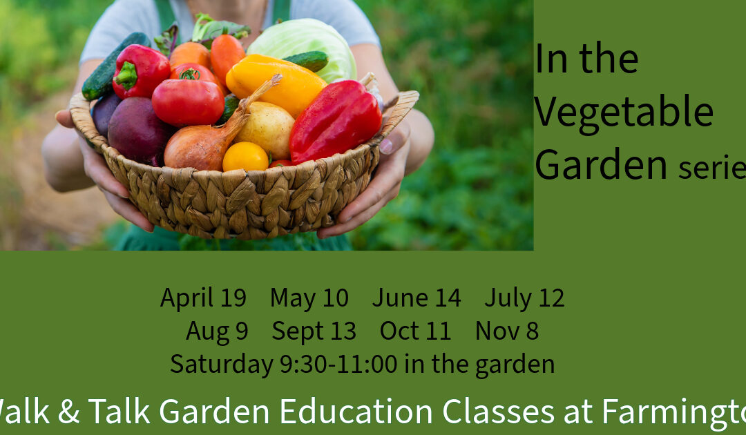 October in the Vegetable Garden Walk &Talk